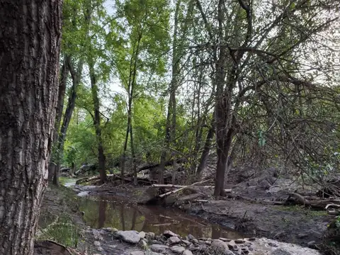 Quinta en Venta 2025 años