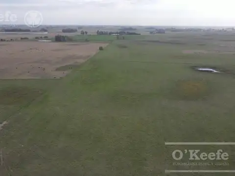 335 Has mixtas en Saladillo. 80% sembrable