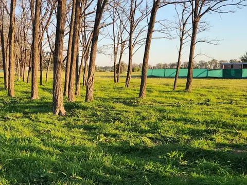 Terreno en Venta 50  mts Fondo