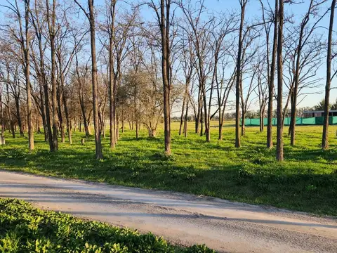 Terreno en Venta de 2000,0 m2