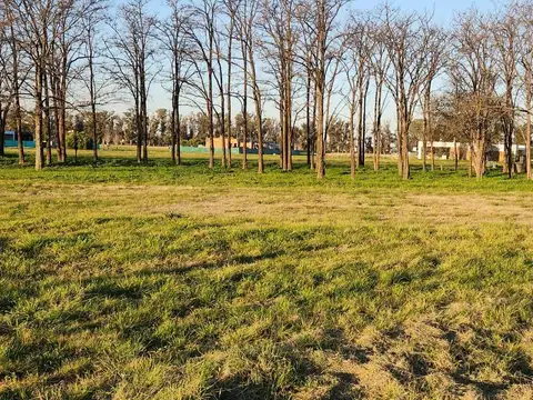 Terreno en Venta 40  mts Frente