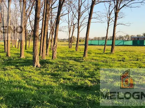 Terreno en Venta 50  mts Fondo
