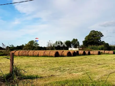 VENTA 6 HAS EN RECREO - IDEAL INVERSIÓN CON RENTA 