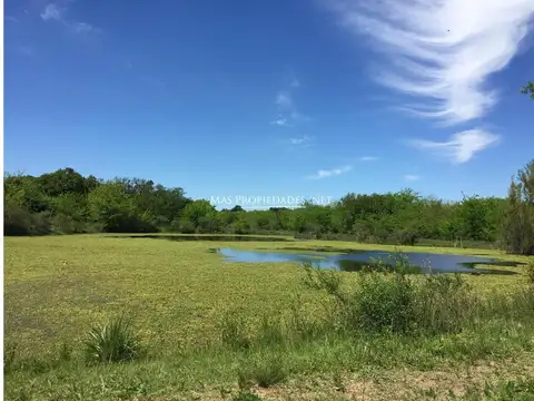 Venta Terreno / Lote interno en El Cazador