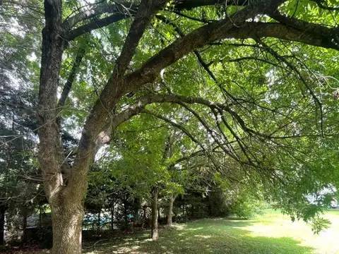 Terreno en Venta en Maquinista F Savio, USD 63.000