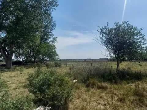 Campo de 5 hectáreas con vivienda