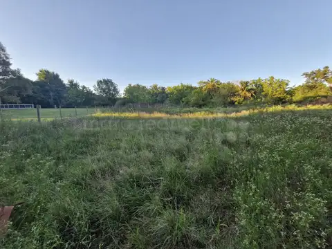 Terreno en Venta en Chascomus, Partido de Chascomús