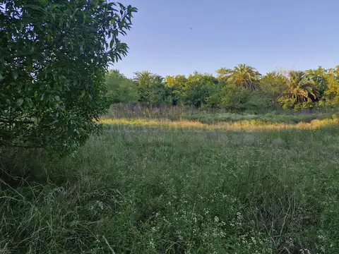 Terreno en Venta 46,35  mts Fondo