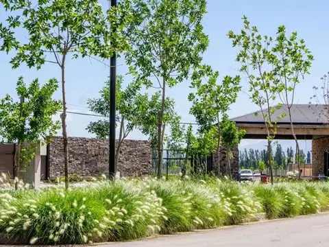 Terreno en Venta en Vistalba, Lujan de Cuyo