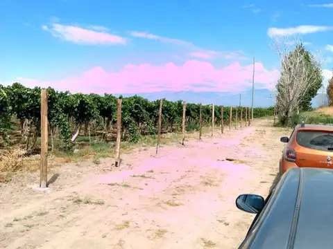 Terreno en Venta de 2862,0 m2