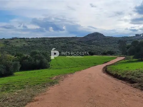 Campo en Venta Chacra