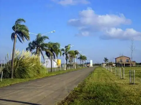 Terreno en Venta 37  mts Fondo