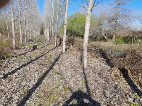 Islas del Delta, 2da Seccion, Arroyo Estudiante y Arroyo Las Cañas