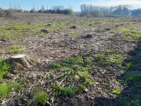 Terreno en Venta de 180370,0 m2