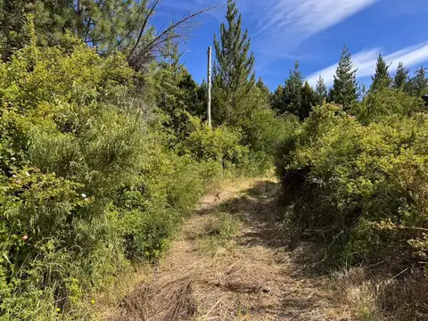 Casa en Venta de 1 dormitorio