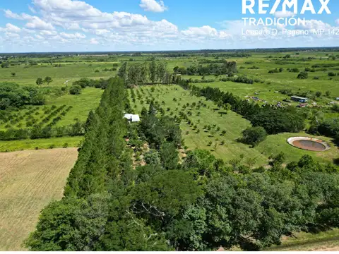 Quinta en Venta en Colonia Benitez, USD 180.000