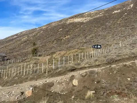 Altos de la Vega 100