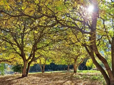 Terreno en Venta en El Bolson, Bariloche