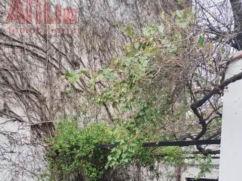 Casa en Alquiler con 1 cochera