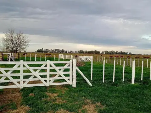 Campo en Venta -  - 540mts - Saladillo
