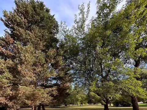 Lote en venta en Country San Diego Moreno