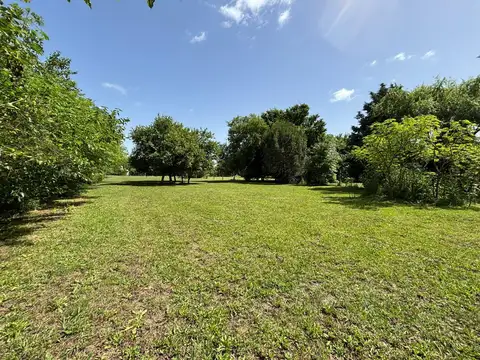 Terreno en 20 De Junio- Venta-Asfalto