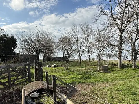CAMPO EN VILLA AMELIA