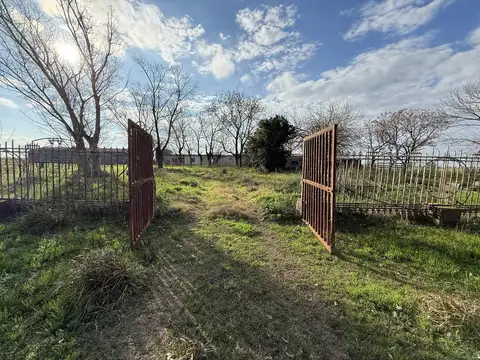 CAMPO EN VILLA AMELIA