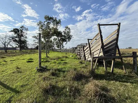 Campo en VENTA Villa Amelia