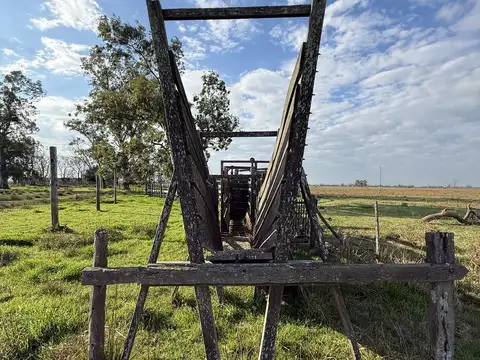 CAMPO EN VILLA AMELIA