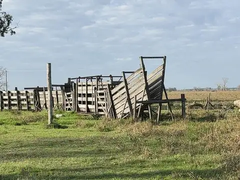 CAMPO EN VILLA AMELIA