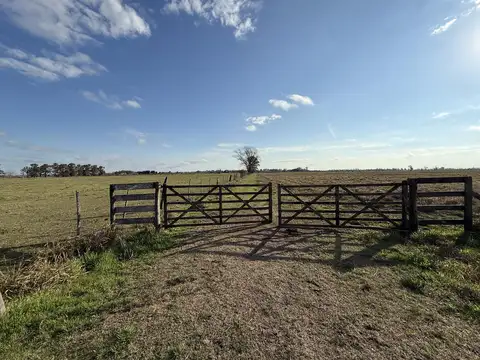 Campo en Venta en Villa Amelia, Rosario