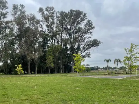 Terreno en Venta de 1234,0 m2