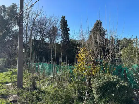 Aryolas e/ Sánchez de Bustamante y El Rodeo