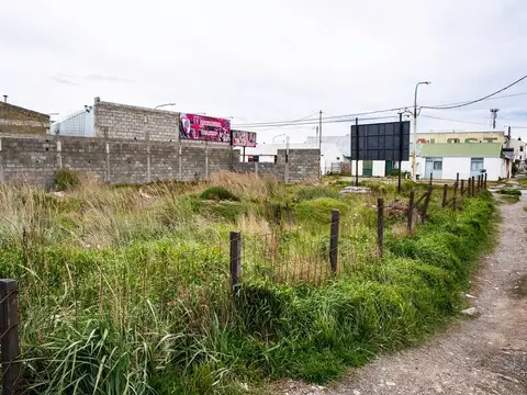ISLA MALVINAS ARGENTINA Y ALBERT SCHWEITZER