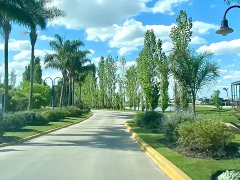 Terreno en venta en La Magdalena 