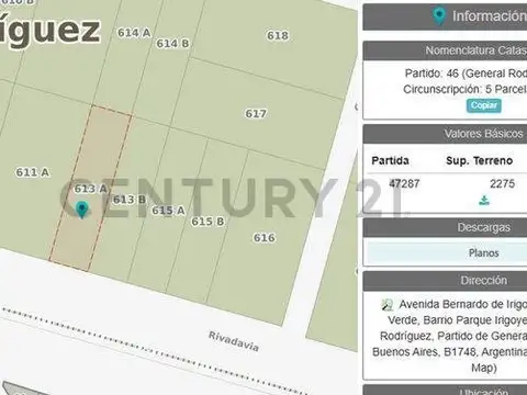 ruta 5