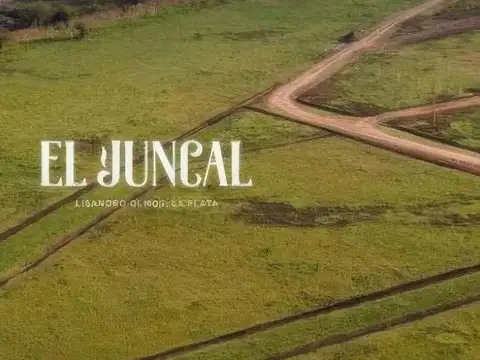 El Juncal - 177 y 36