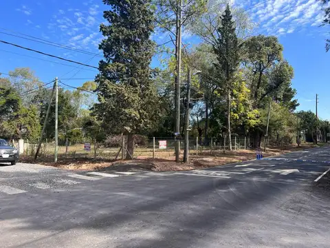 Caamaño 1500