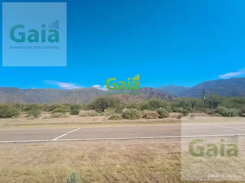 HECTAREAS EN LIMITE DE CAFAYATE