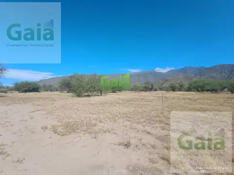 HECTAREAS EN LIMITE DE CAFAYATE