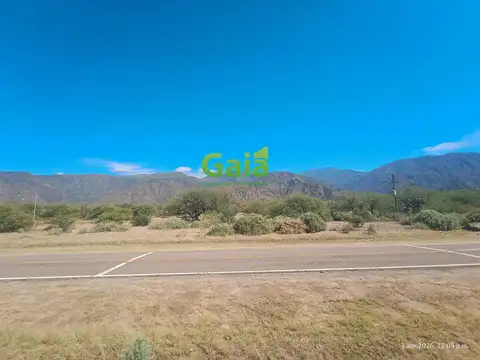 HECTAREAS EN COLALAO DEL VALLE