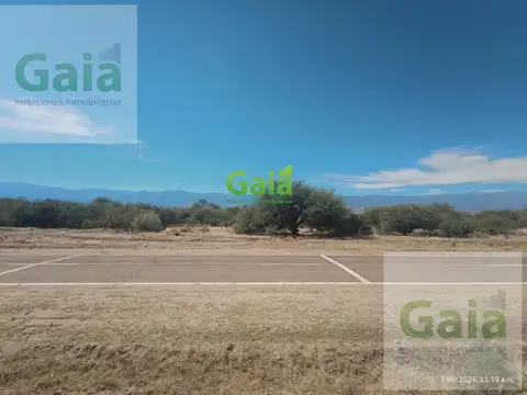 HECTAREAS EN LIMITE DE CAFAYATE