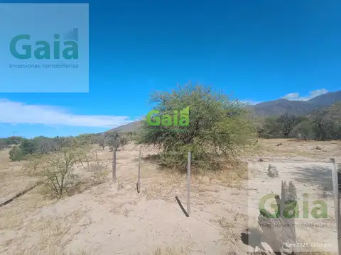 HECTAREAS EN LIMITE DE CAFAYATE