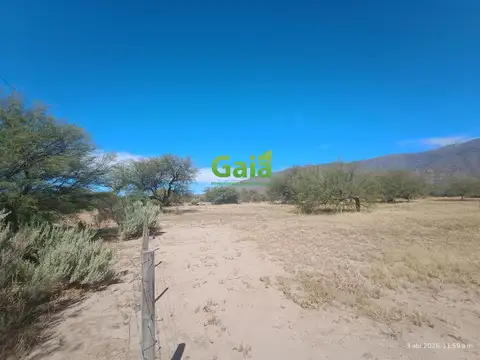 Finca HECTAREAS EN COLALAO DEL VALLE