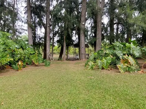 Rio / Arroyo Caraguatá 900