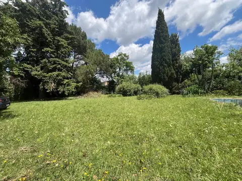 Doctor de la Quintana 3100