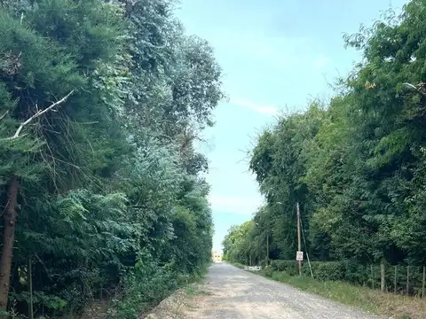 Terreno en Manzanares Pilar