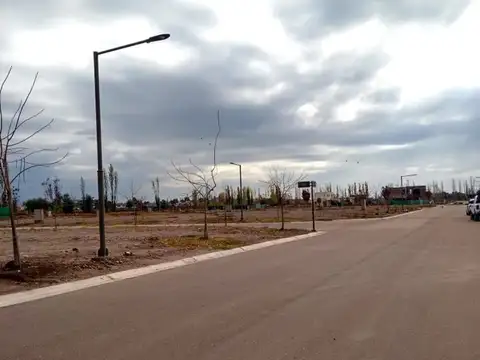 LOTES VENTA LUJAN  DE CUYO B. "LA LUISA"