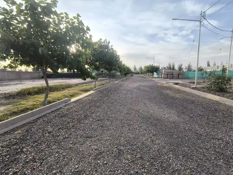 Videla Castillo 1500